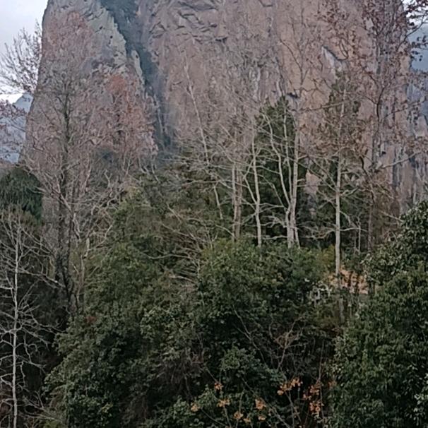 鸿运如意
