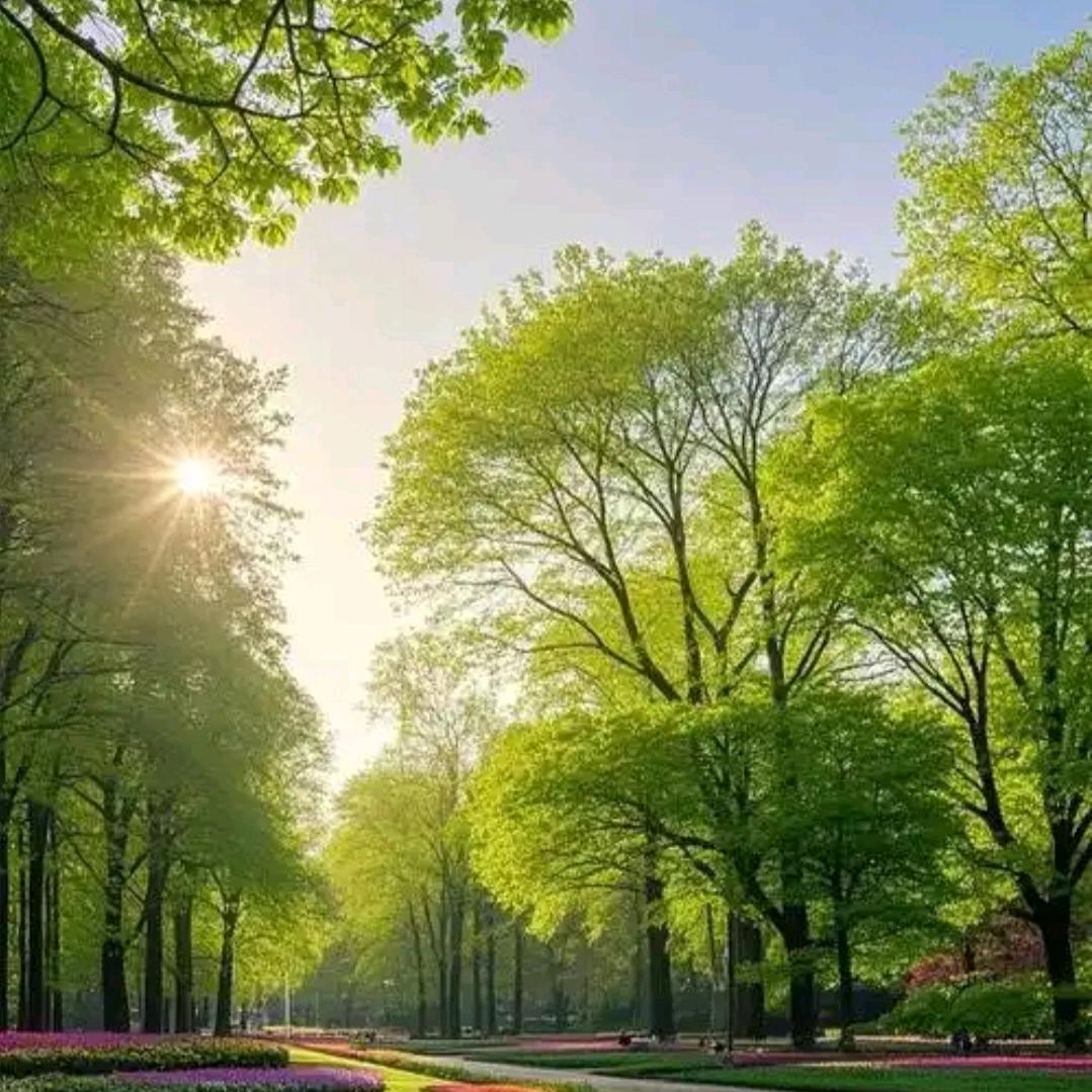 佳禾与你万事兴