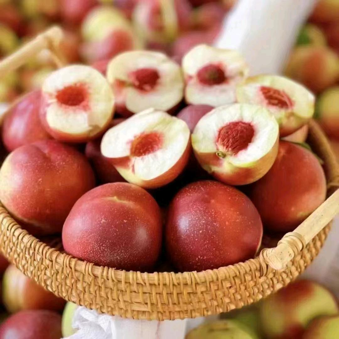 诚信志远果业   志丹阿炜