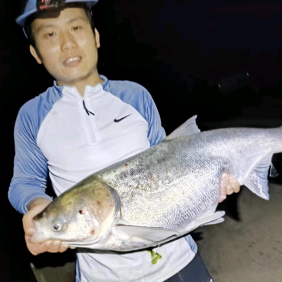🐟ღ将军𓀑