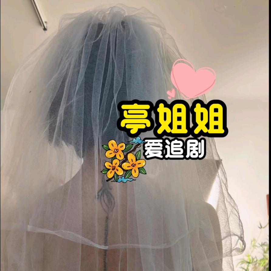 亭姐姐爱追剧