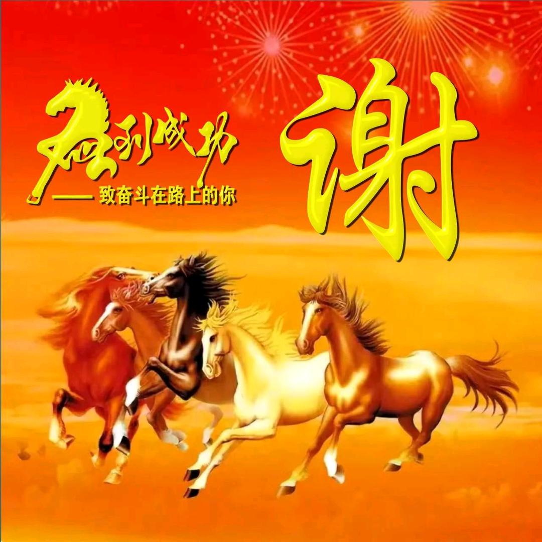 有你不孤单