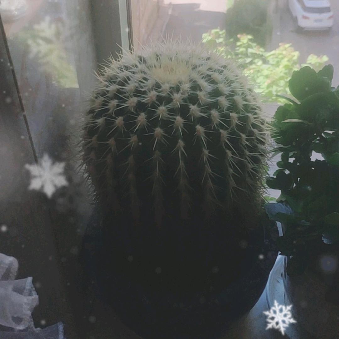 沸腾的水