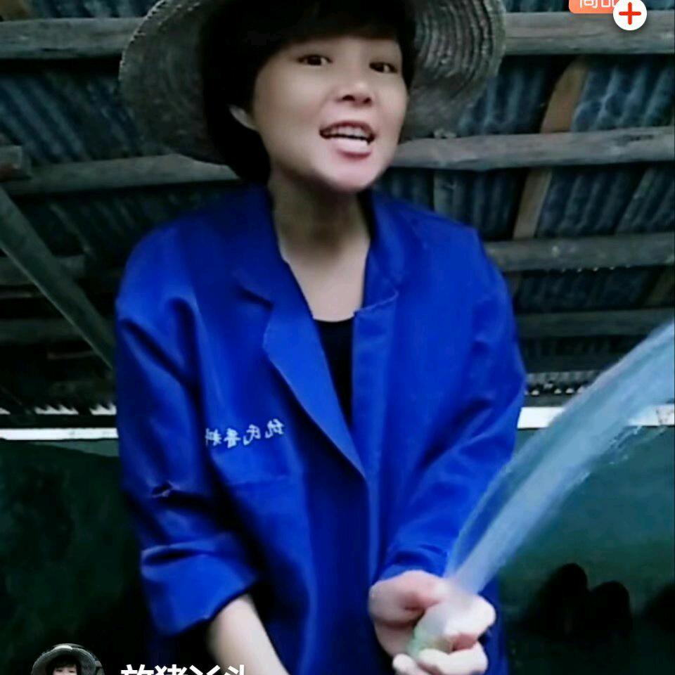 两木