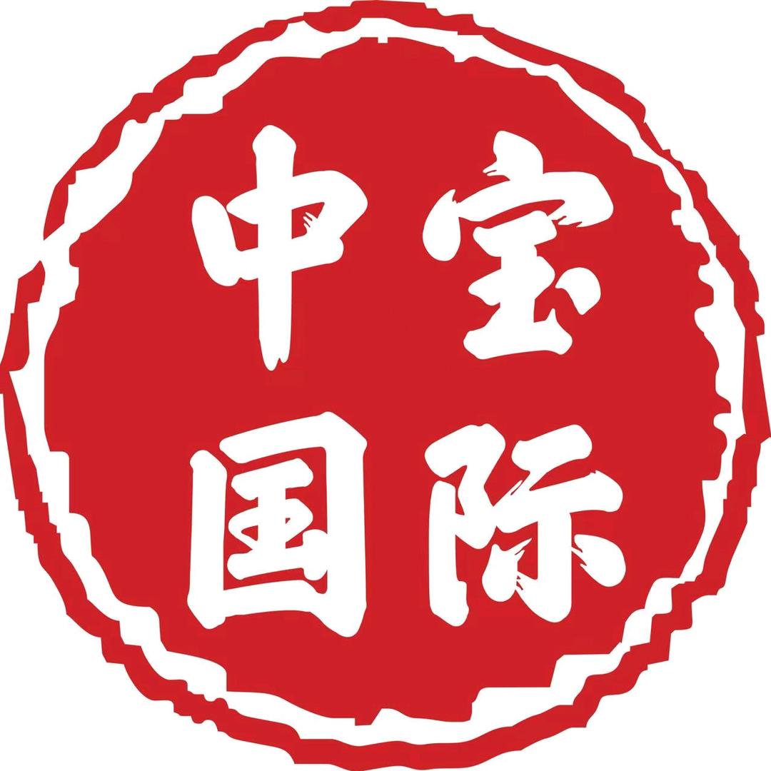 中宝国际