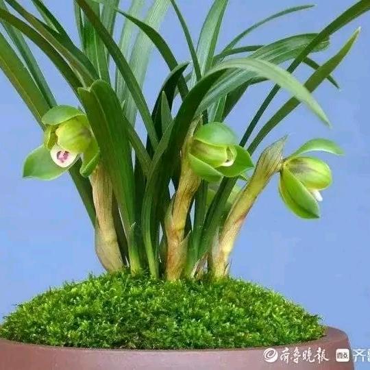 一直努力中