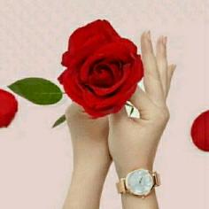 二0二四！静听是最美好的时光🌻