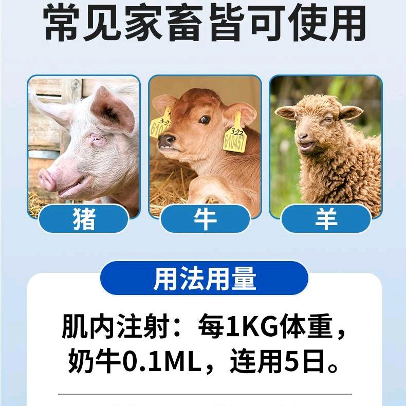 用户7412935496742