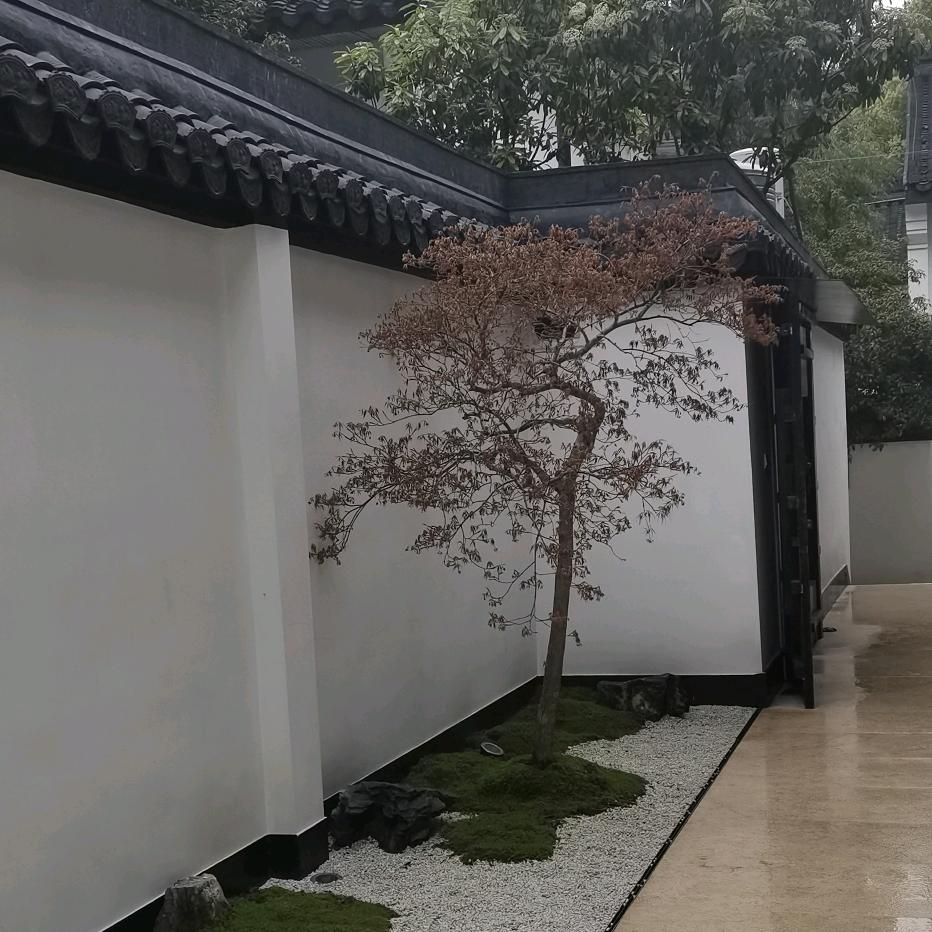 大展宏图
