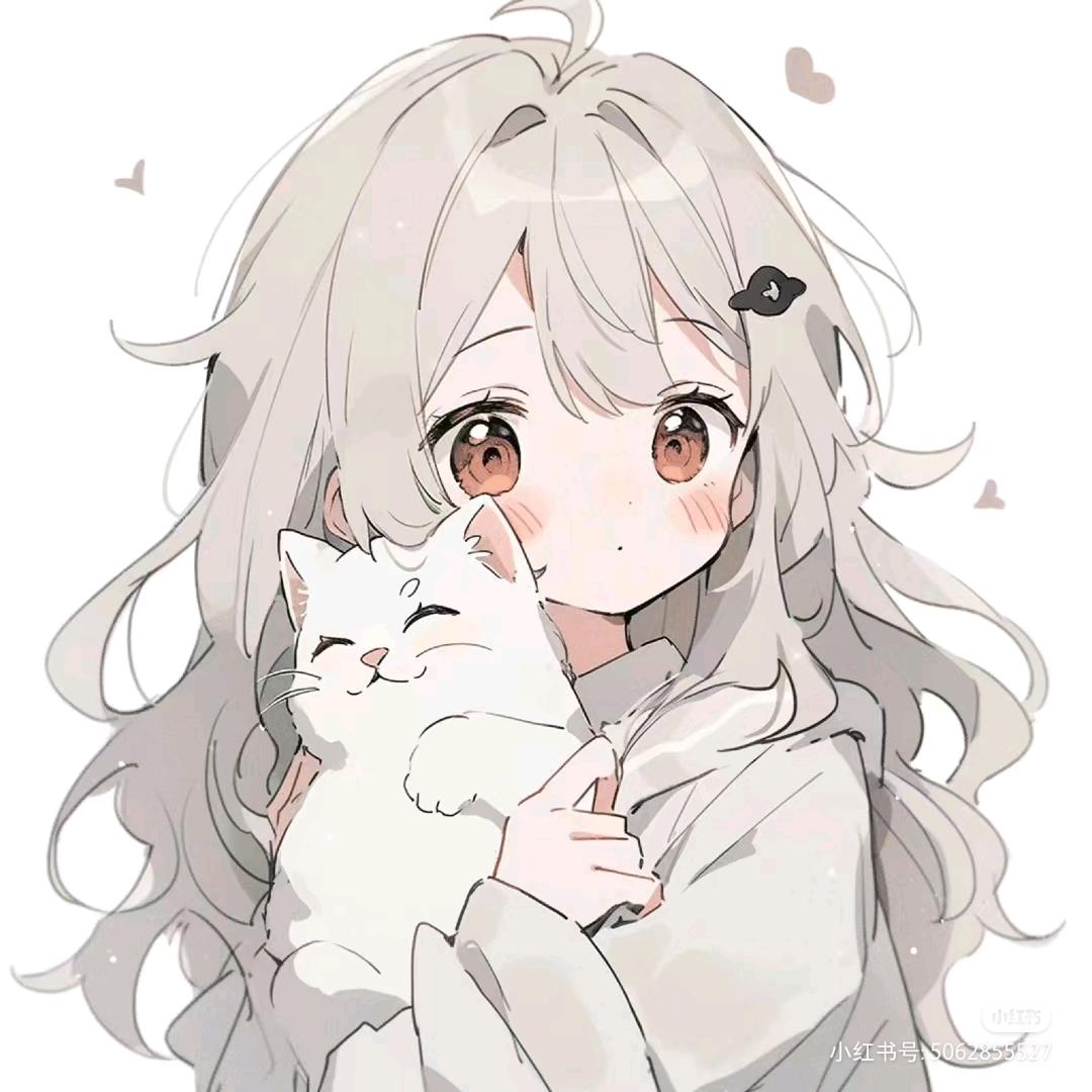 Hello 不 Kitty