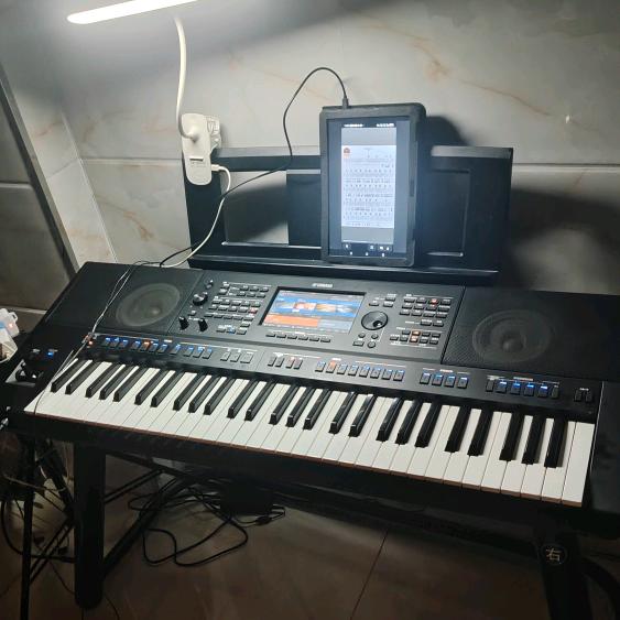 🎹一本正经的乱弹琴