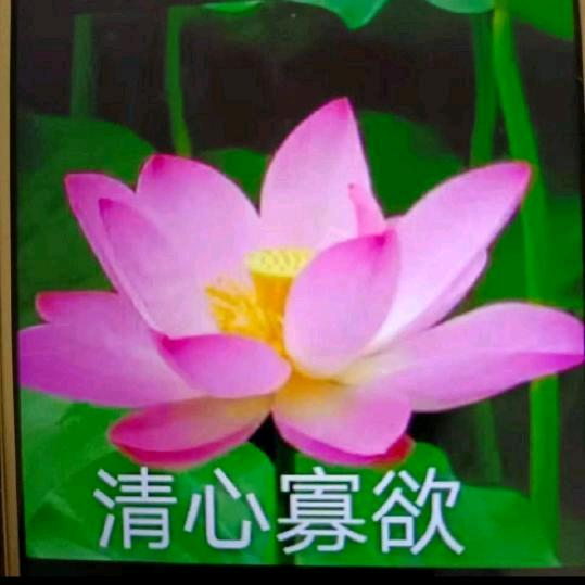 有缘