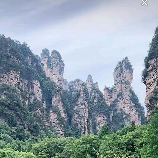 东大国防