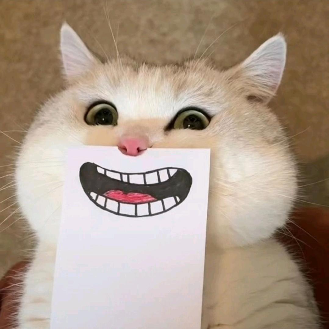 懒猫爱堡堡