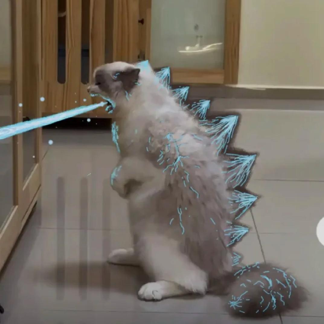 哈基白的坐牢日记