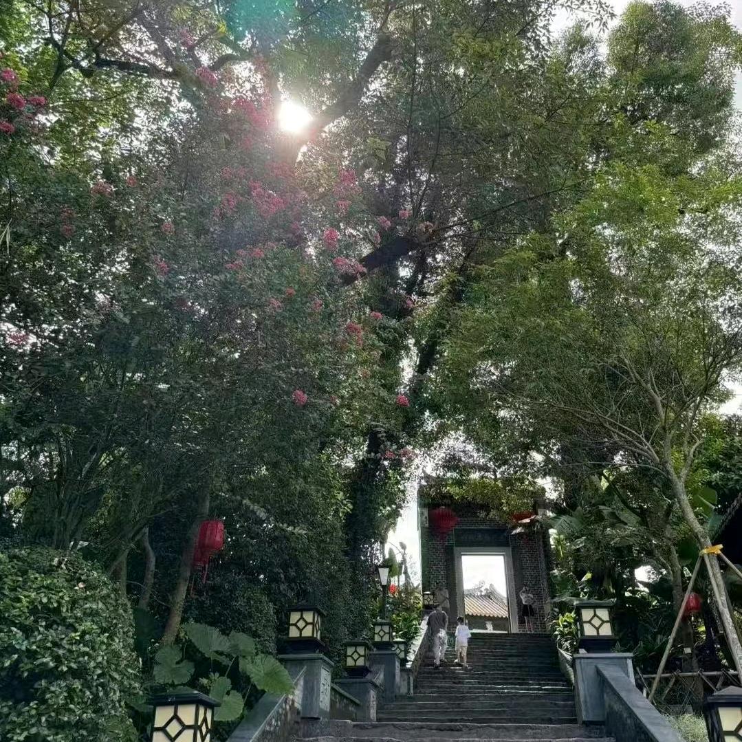 秀秀