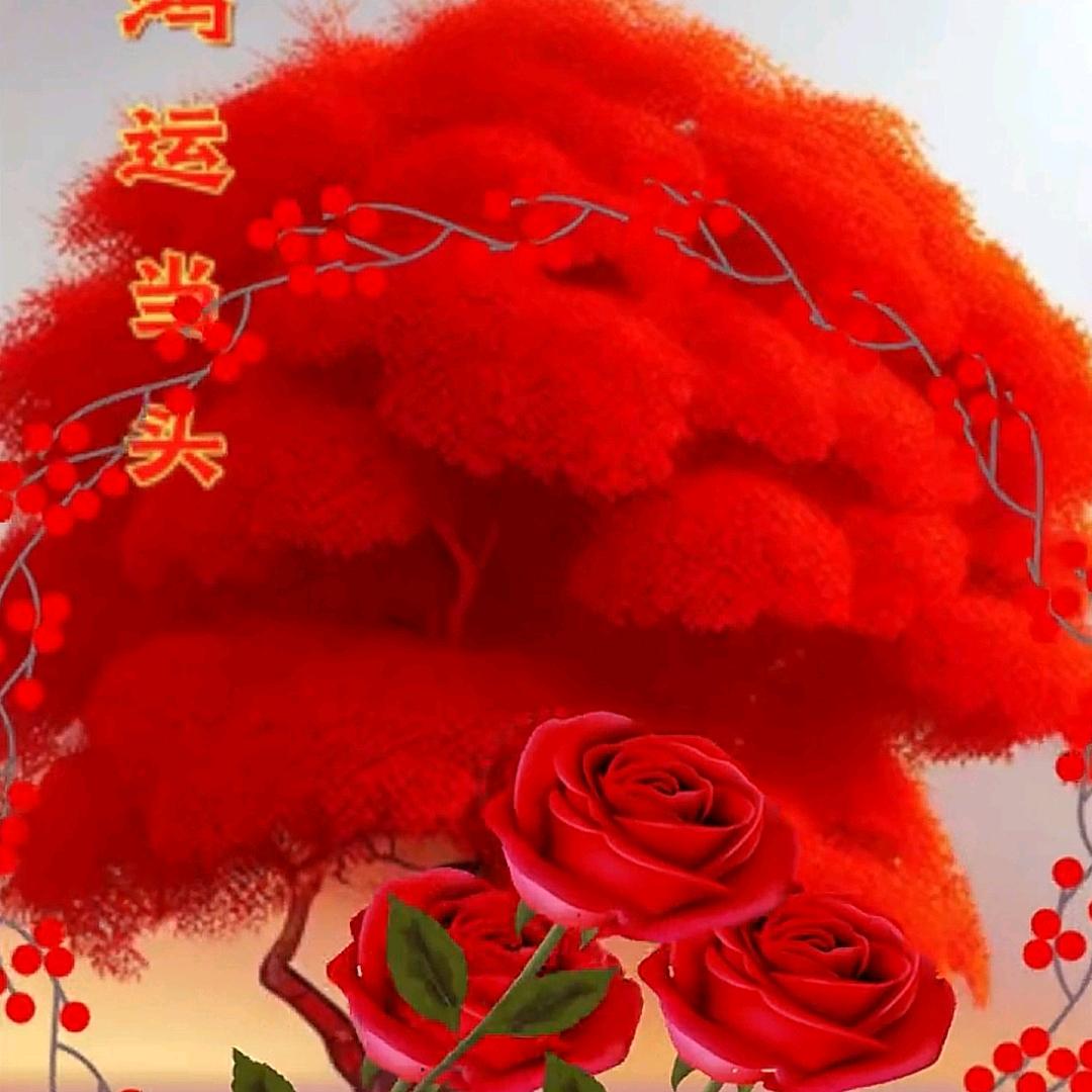 吴昌霞安徽铜陵。光脚🦶