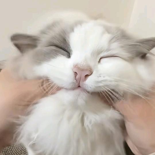 抽卡别让我保底了。