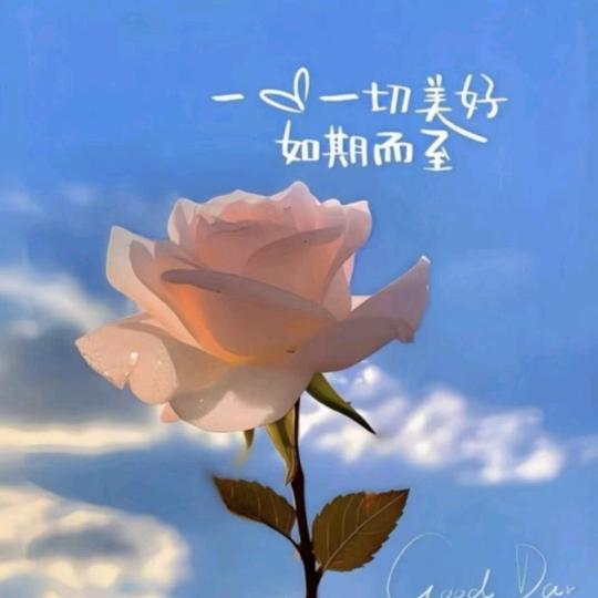 一支独秀
