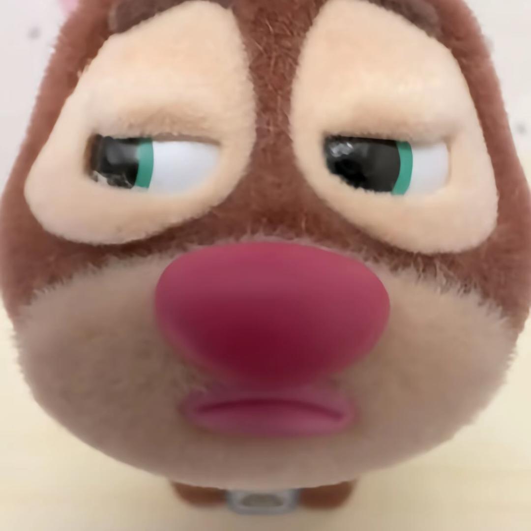 金旼炡不玟