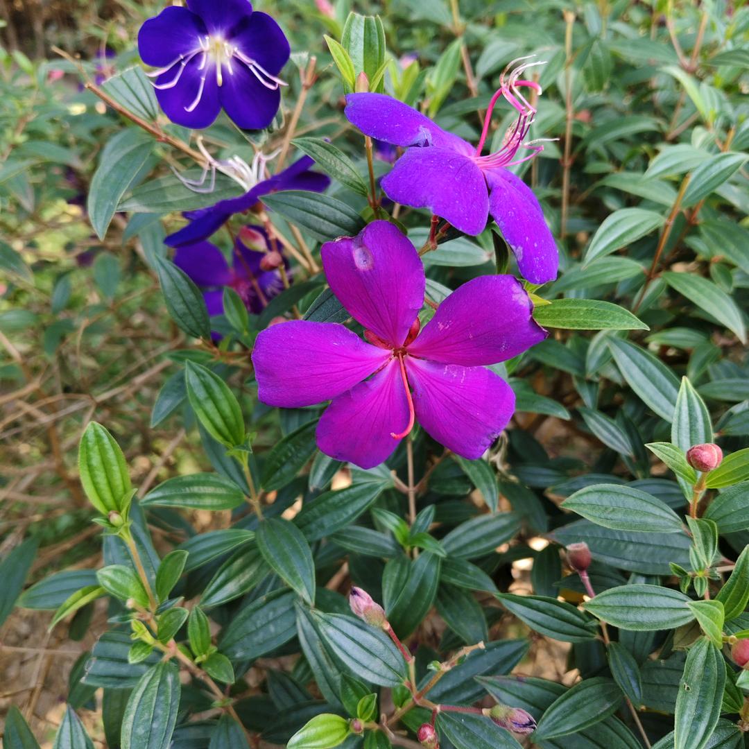 永远爱你