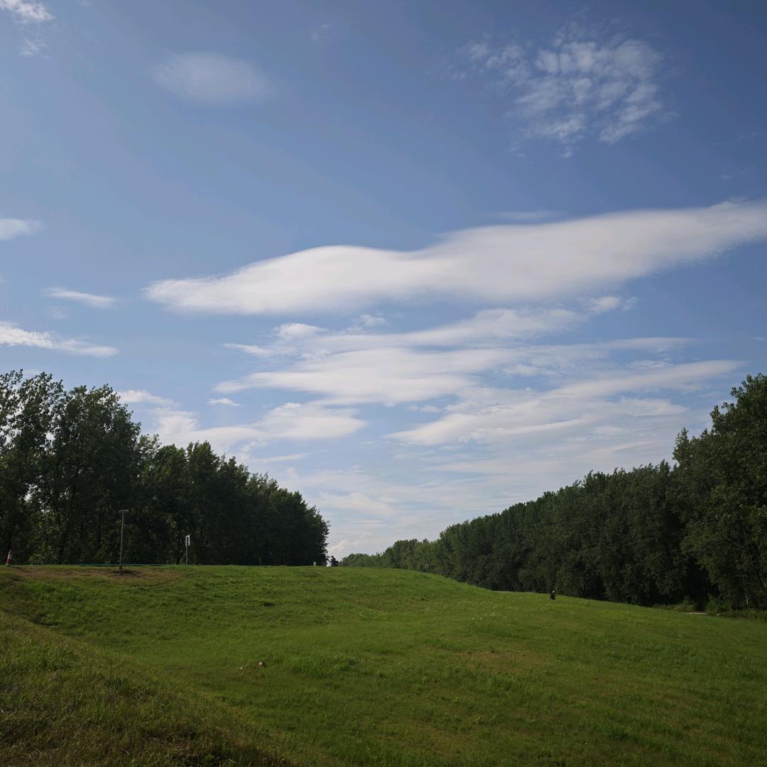 这个小虎有点沉