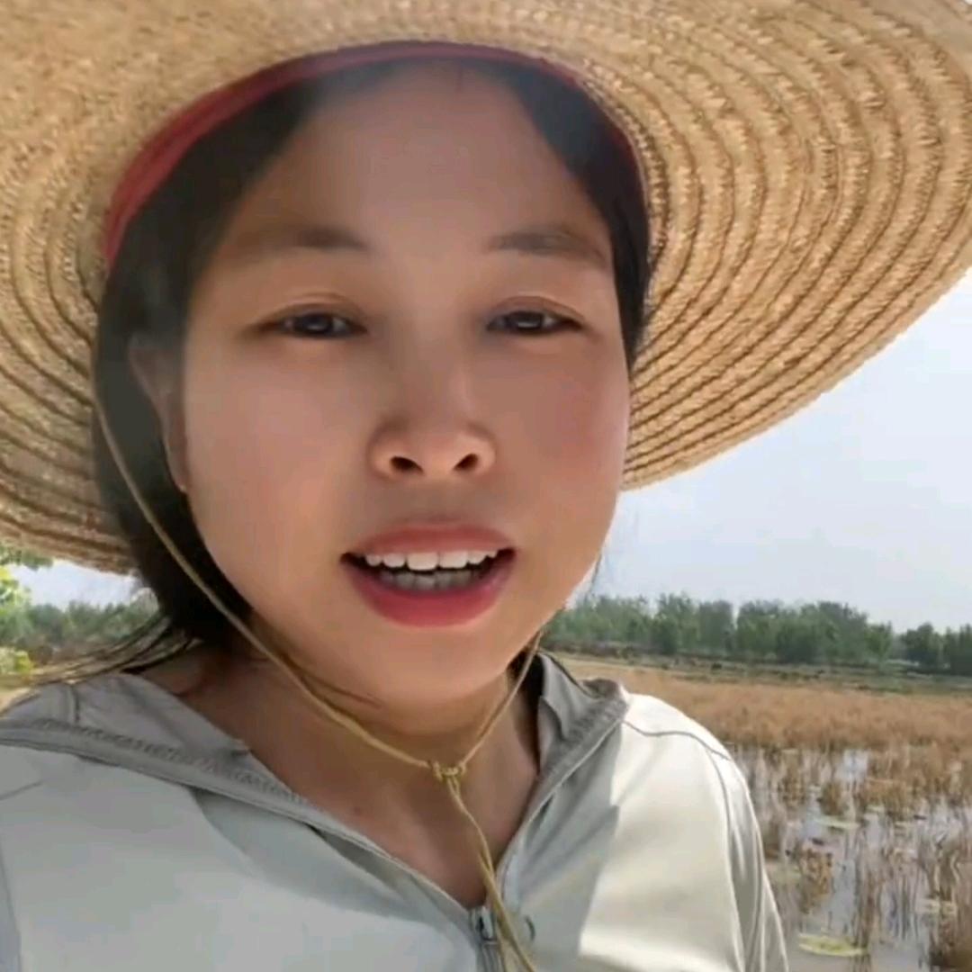 河南苏小妹(鸡头果)