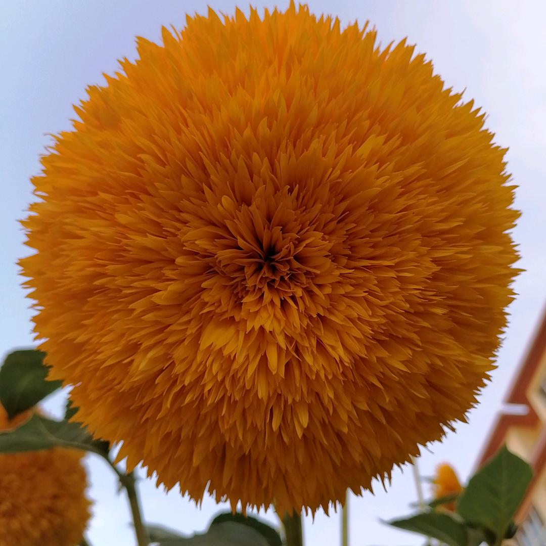 🇨🇳🇨🇳🇨🇳🇨🇳🇨🇳