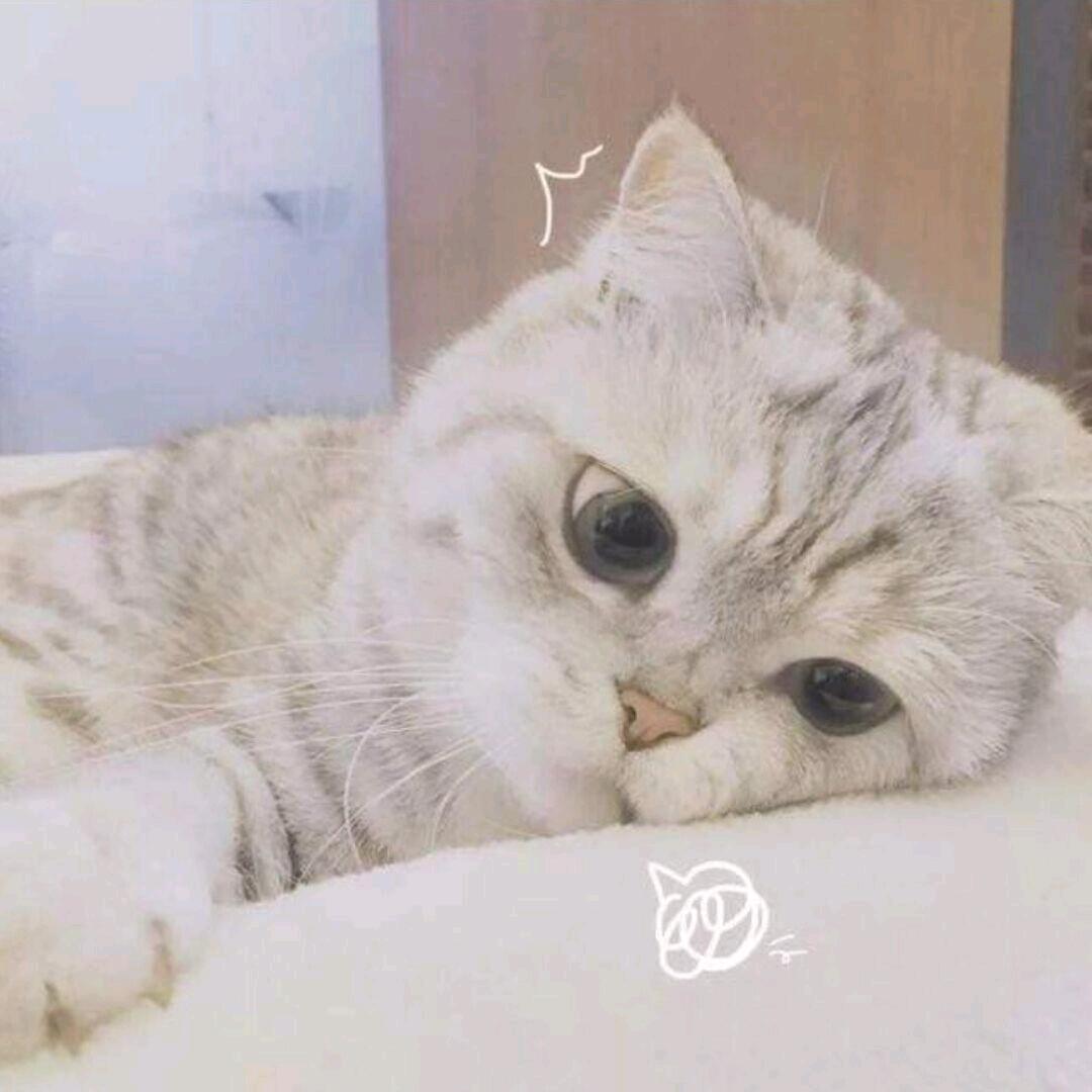 至安
