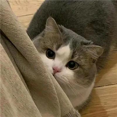 澄