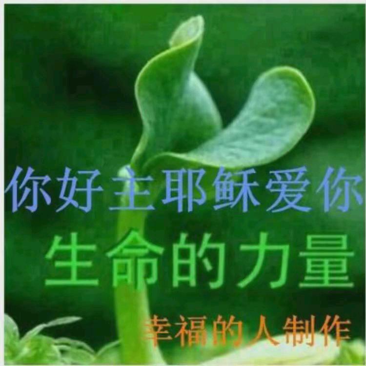 陈守望