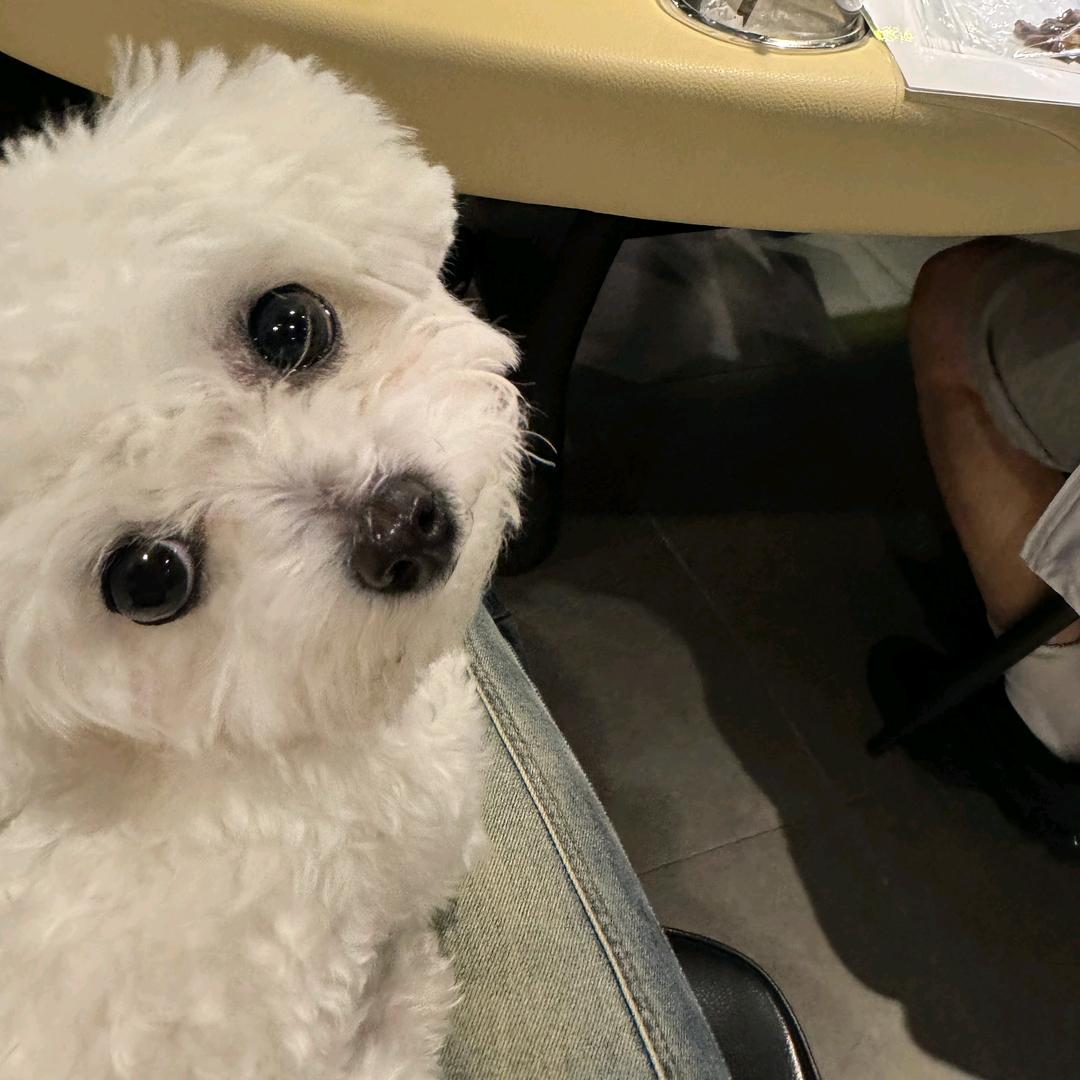 拾光君(主页领取电子版)