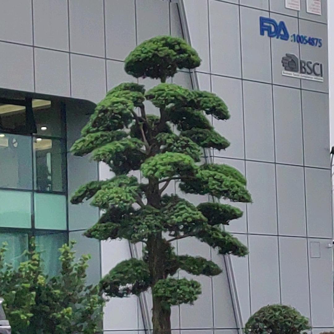 冠龙装饰材料厂梁国锋