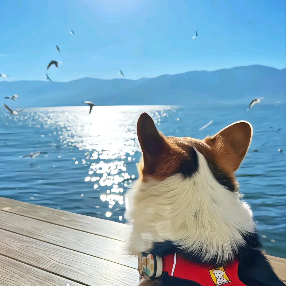 永不低头