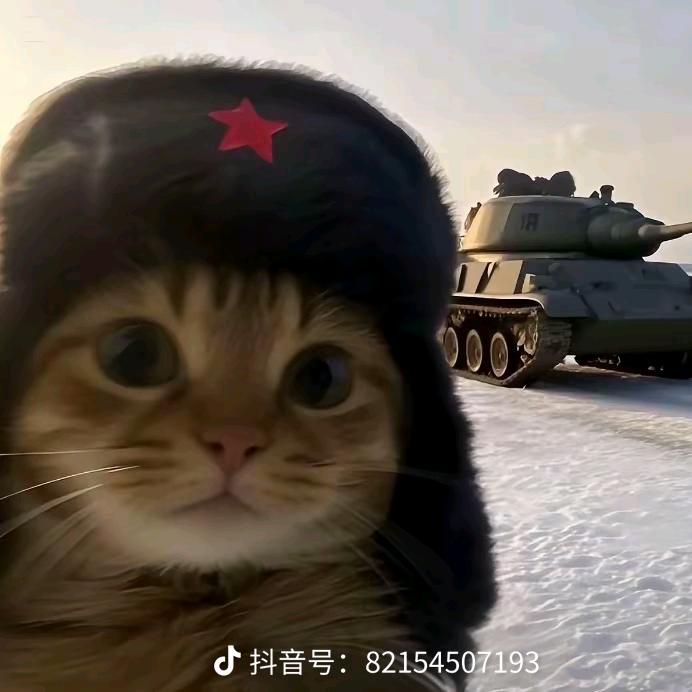 岁寒（三角洲代肝）