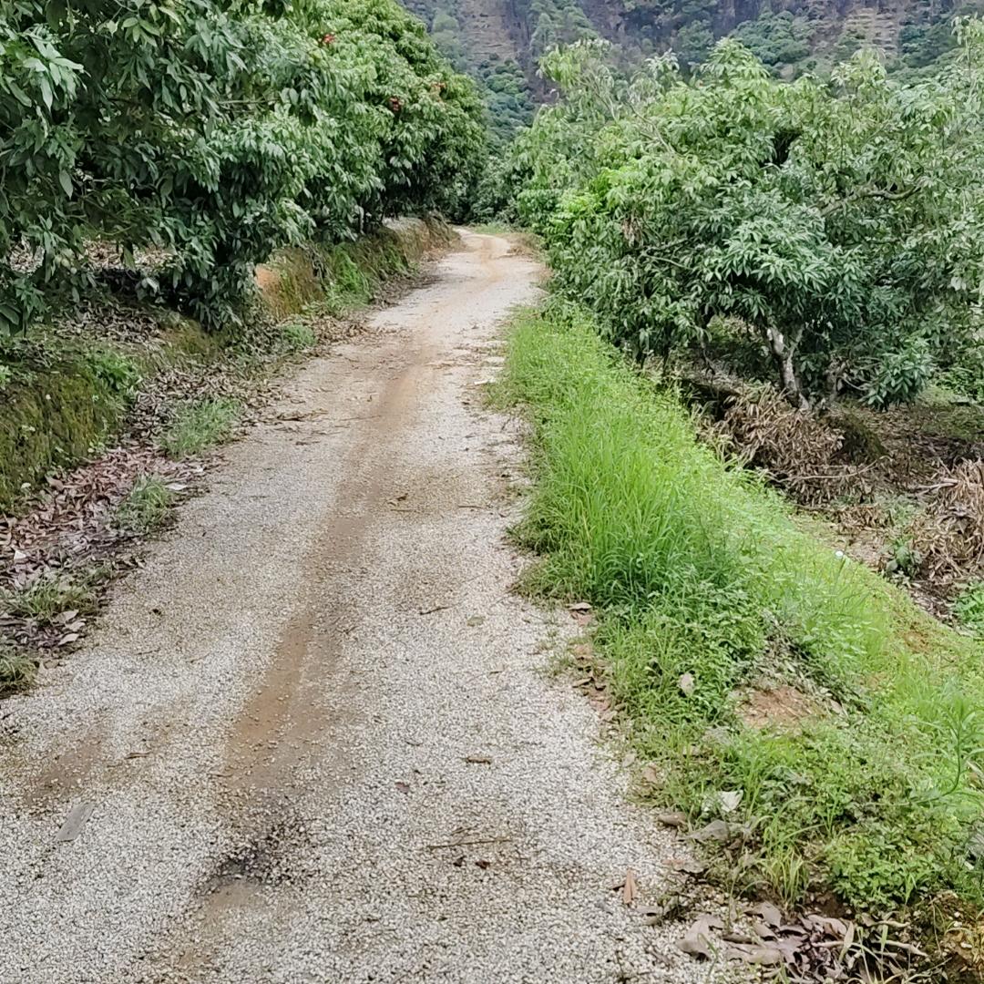 农村小伙一小枚