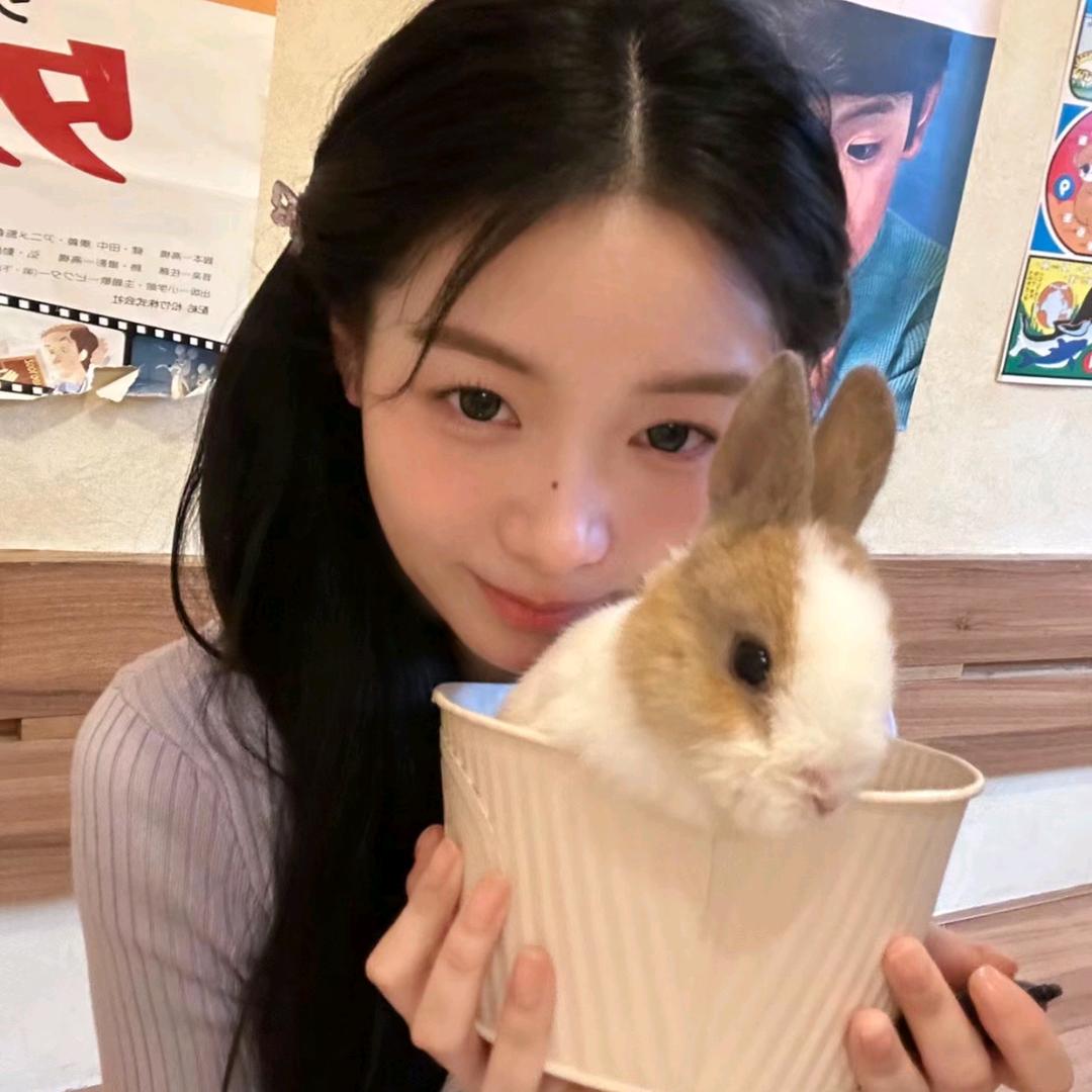 冰糖葫芦娃
