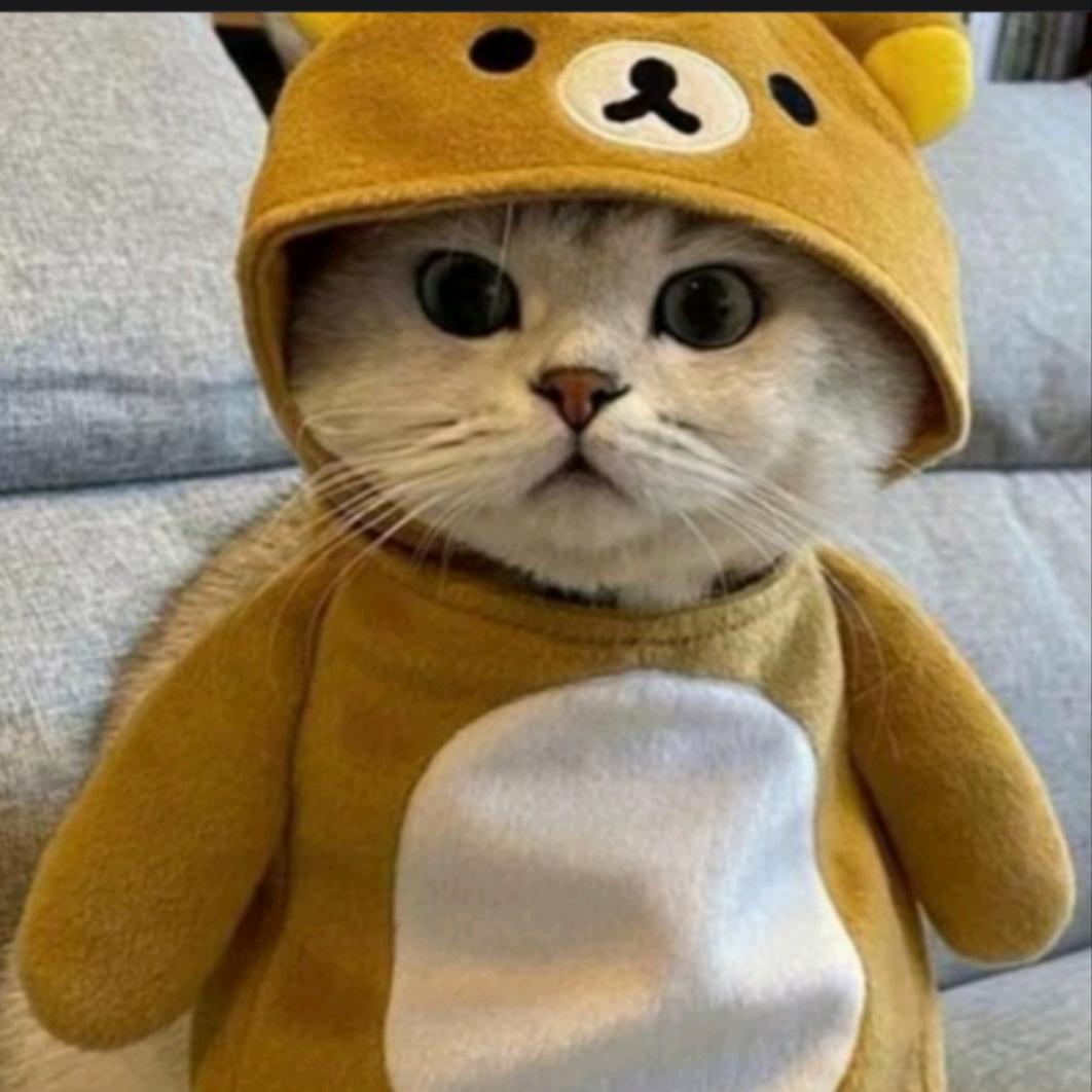 小树嘛