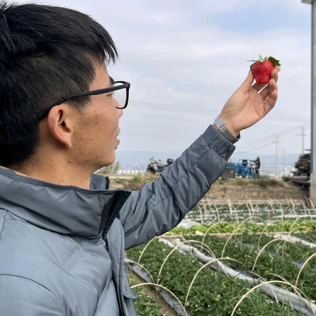 云成一品创始人张晶