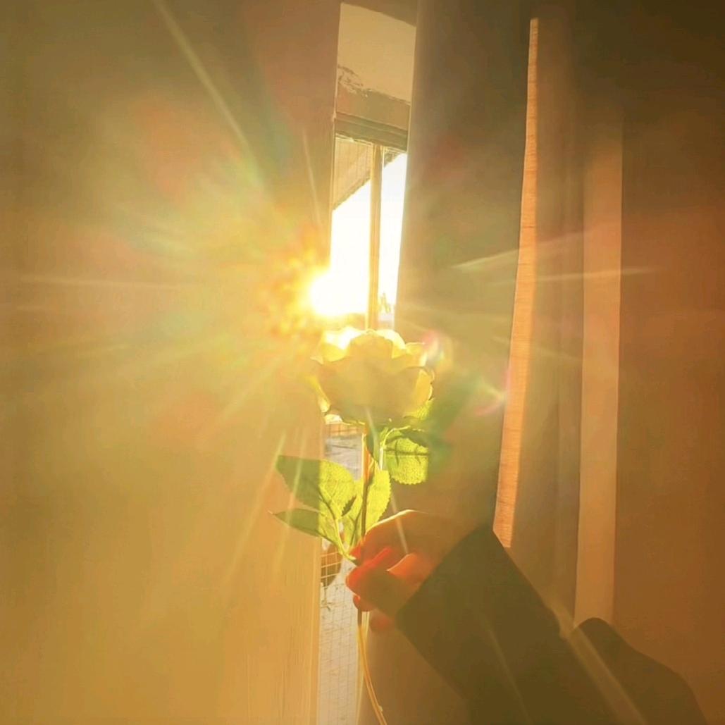 虹桥家居奥特莱斯店～小晴