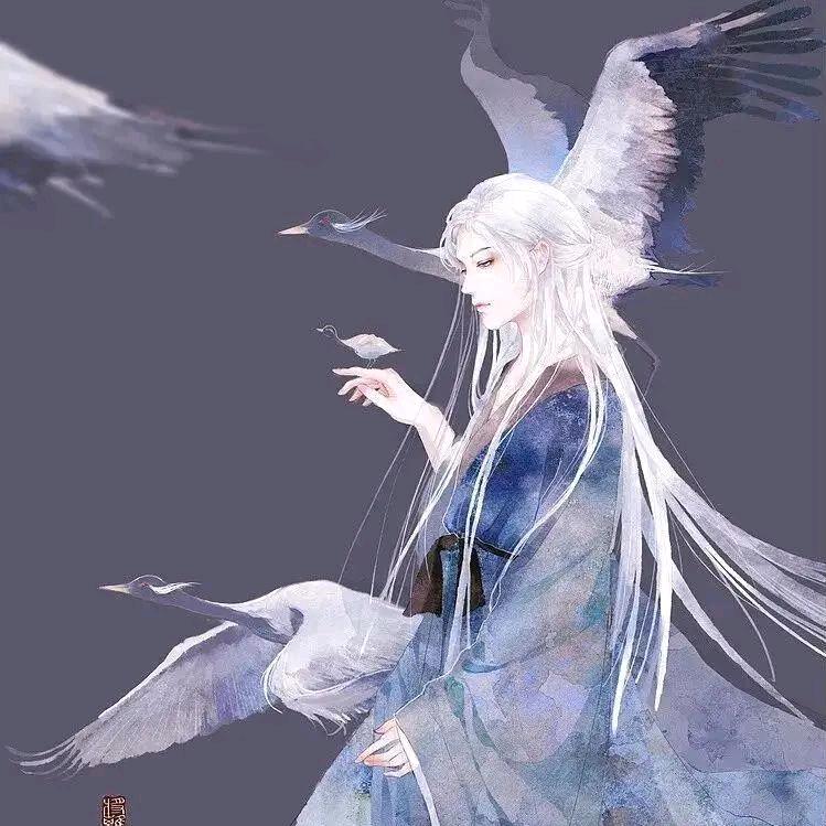 锦寒