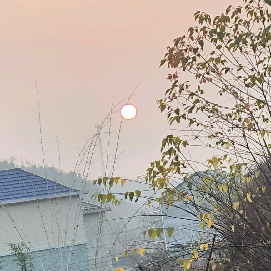 鑫旭国际