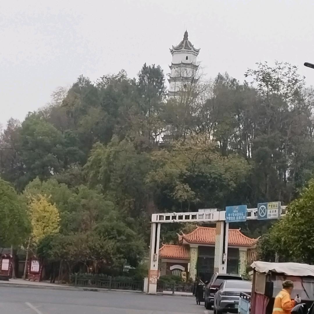 往事清零张平