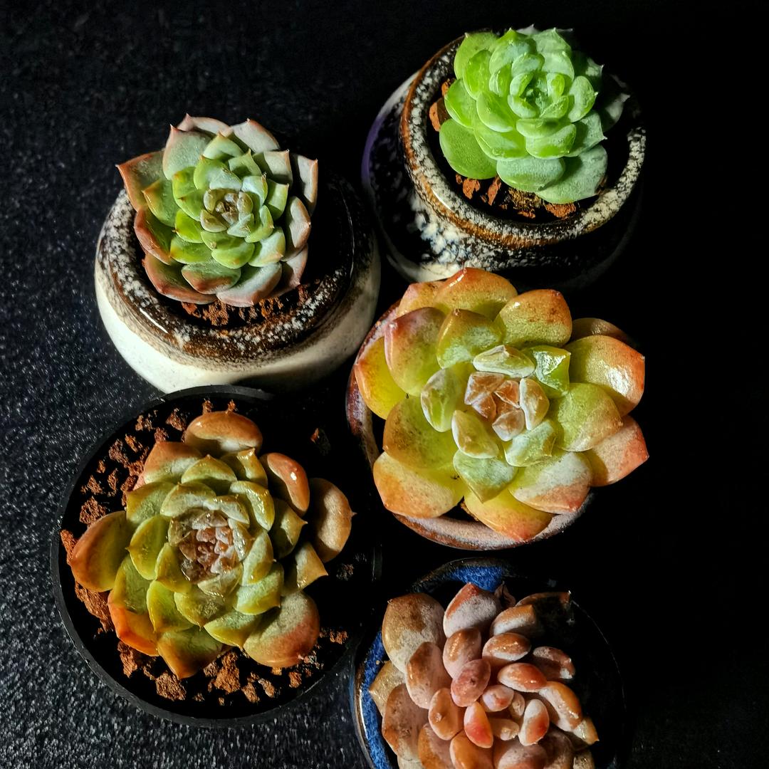 夷兮生活美学