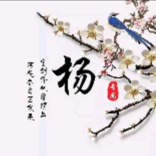 陕北慧慧