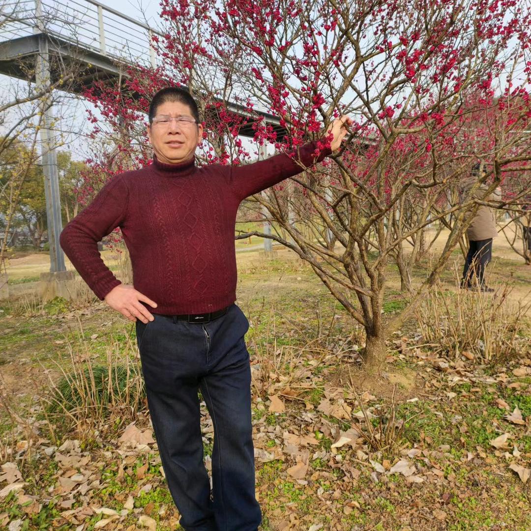 老陈