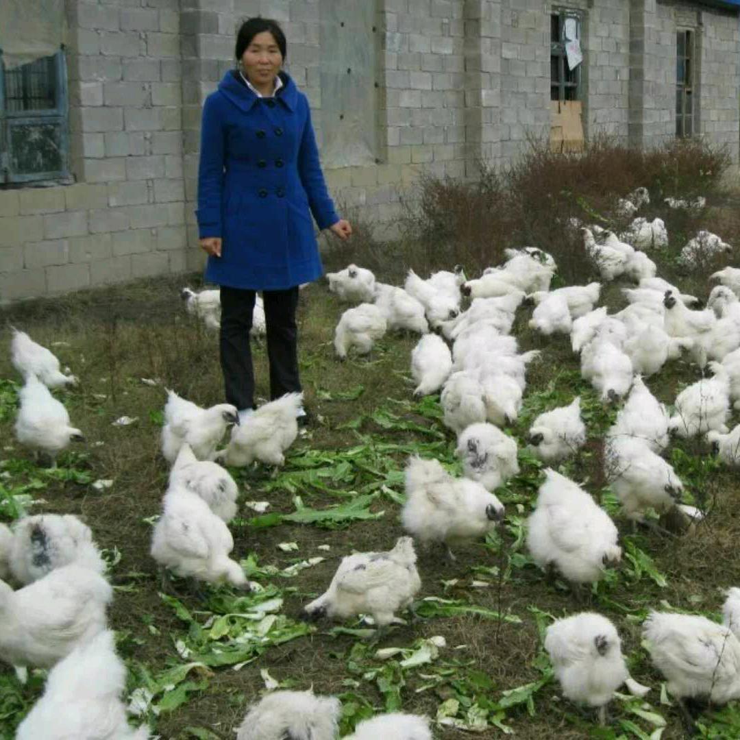 英山福润农场