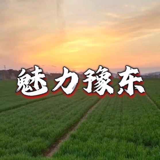 魅力豫东