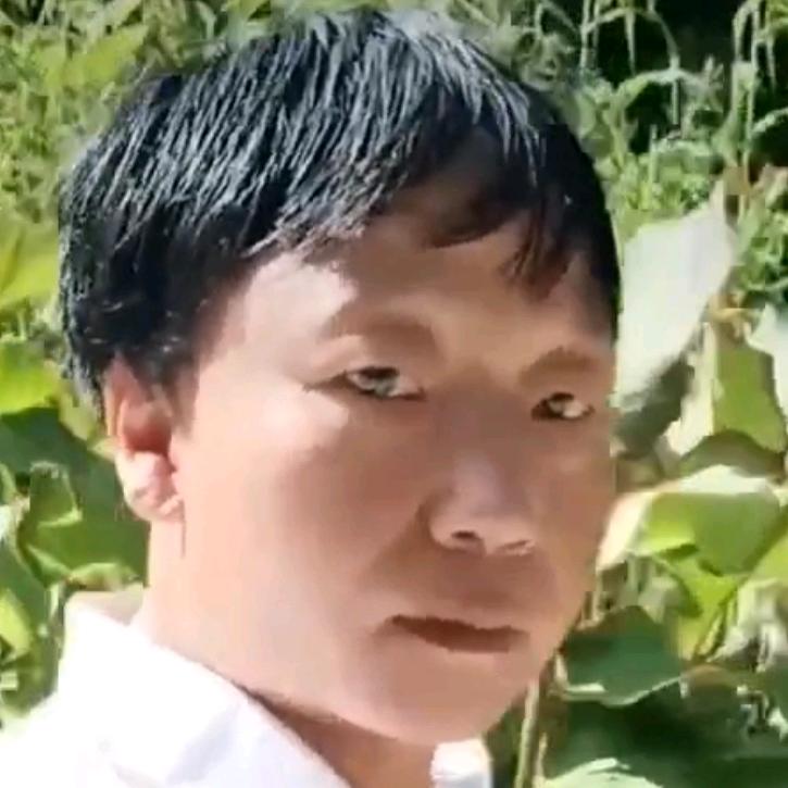 吴哥好物分享