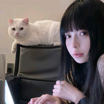 🧊岛